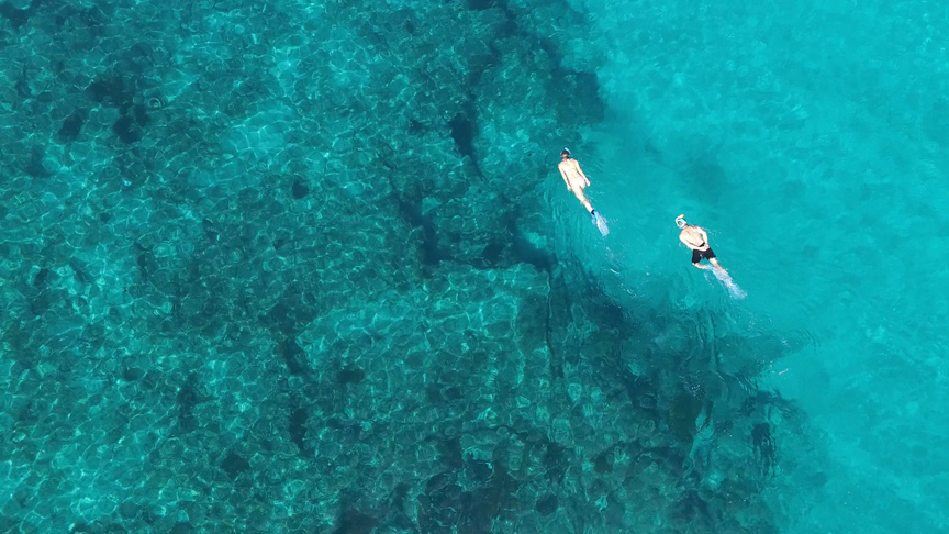 snorkeling-trip-bazaruto-mozambique