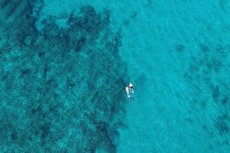 Snorkeling - Big Blue Vilankulo