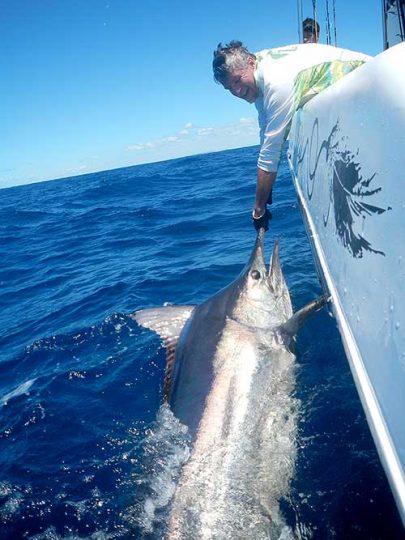 Black, Blue and Striped Marlin fishing in Vilanculos - Big Blue Vilankulo